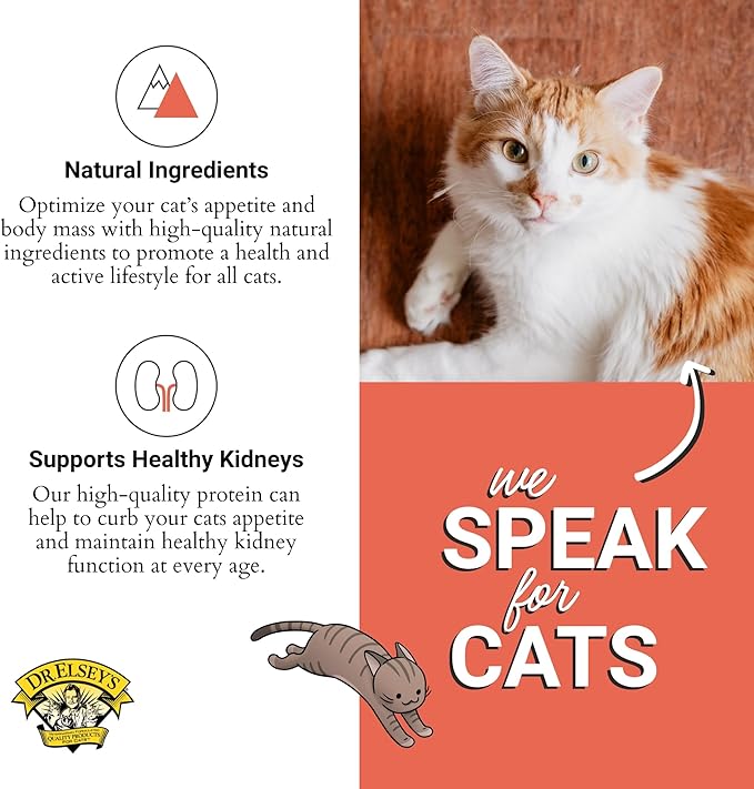 Dr. Elsey'S Cleanprotein Salmon Formula Dry Cat Food, 2 Pound (Pack of 1)-PawvioPets