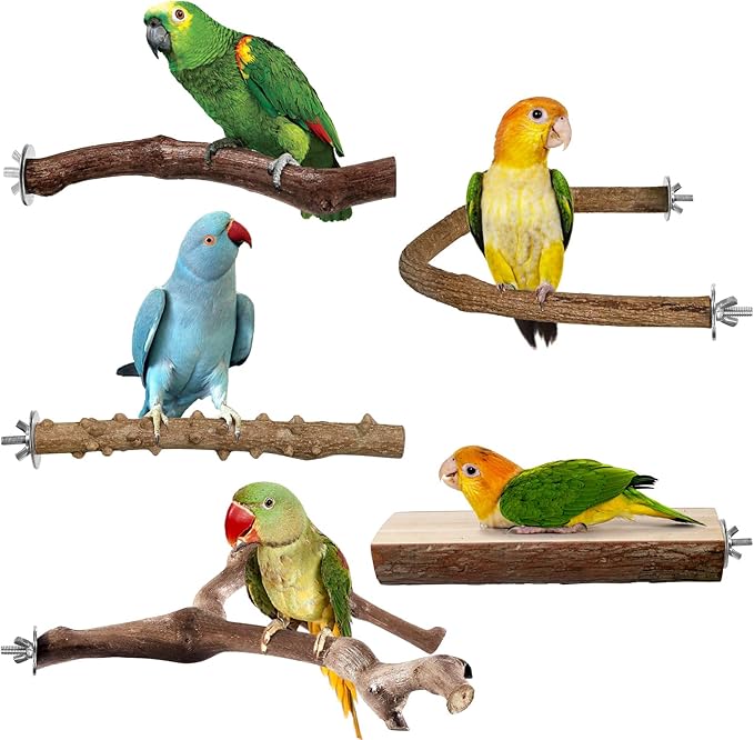 Bird Perches, 5pcs Natural Wood Birds Stand Branch, Bird Perch Chewing Stick Cage Accessories Parrot Climbing Standing Branches Paw Grinding Fork Sets for Cockatiels Ringneck Parrots-PawvioPets