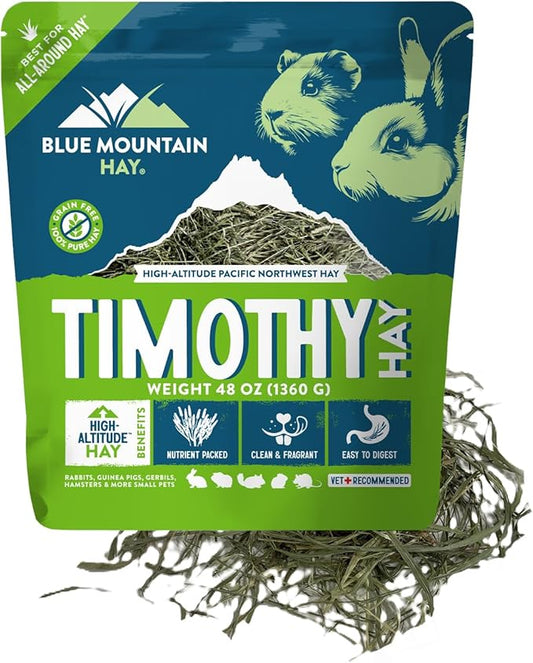 Blue Mountain Hay | Fresh Timothy Hay (48 Ounce) | Great for All Ages | High-Altitude Hay Pet Food for Rabbits, Guinea Pigs, Chinchillas, Hamsters, and Other Small Pets-PawvioPets