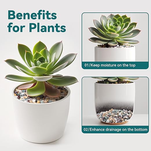 5 lbs Natural Pea Gravel Pebbles for Aquarium, Fish Tank, 3/8 inch Decorative Pebbles for Indoor Plants, Succulent, Bamboo, Vase, Drainage Rocks for Potted Plants, Top Dressing, Mixed Color-PawvioPets