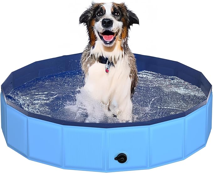 39.5" x 12" Foldable Dog Pool - Collapsible Hard Plastic Kiddie Pool for Dogs & Kids, Non-Slip Pet Bath Tub for Outdoor Backyard Use, Lightweight & Portable (Blue)-PawvioPets