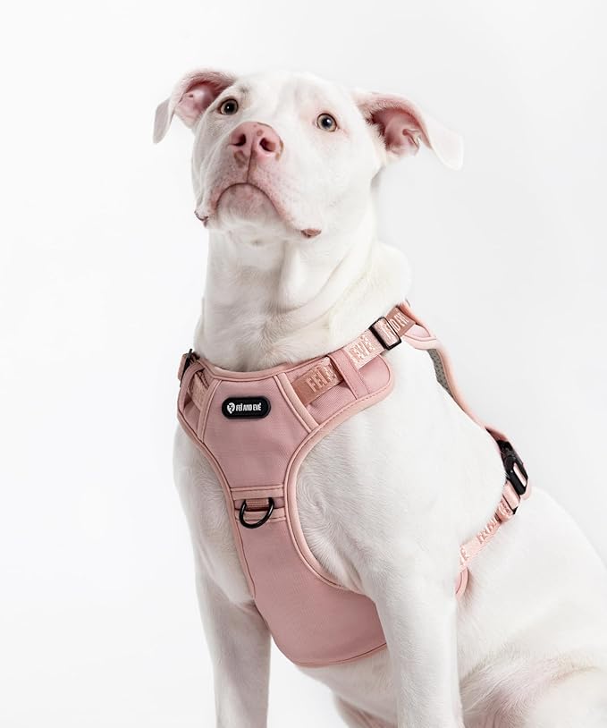 2025 New Edition, Fei & Eve MagEase Dog Harness - 3-Second Magnetic Buckles | 3-Point No-Pull Control | Heavy-Duty 900D Nylon | Dual Safety Handles | Breathable Mesh | Adjustable Fit | Small, Pink-PawvioPets