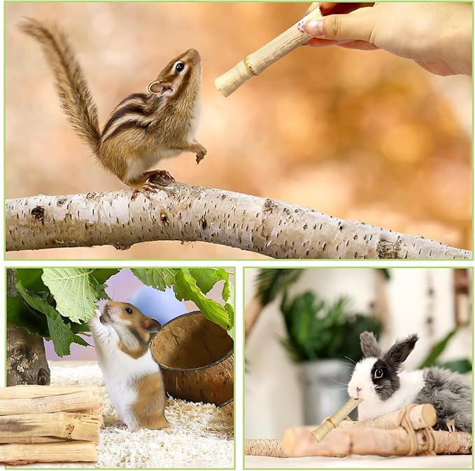 2lb Natural Sweet Bamboo Chew Toys for Small Pets - Organic Molar Sticks with Xylose & Vitamins for Rabbit, Guinea Pig, Hamster - Dental Care & Chewing Entertainment-PawvioPets