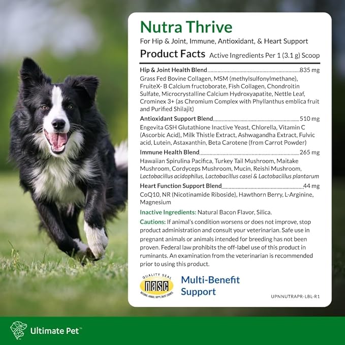 Ultimate Pet Nutrition Nutra Thrive Canine, 40-in-1 Nutritional Powder Supplement for Dogs with Digestion and Immune Support, Vitamins, Minerals, Probiotics, Enzymes, 30 Scoops-PawvioPets
