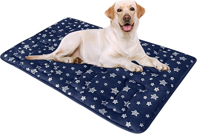 Dog Crate Mat (36" X 23"), Soft Dog Bed Mat with Cute Prints, Personalized Crate Pad, Anti-Slip Bottom, Machine Washable Kennel Pad-PawvioPets