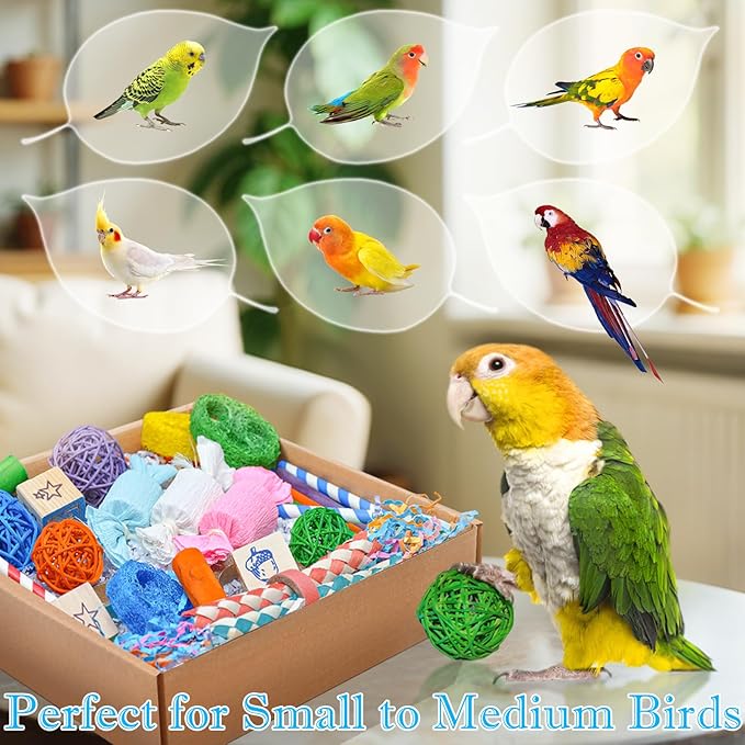 Colorful Bird Foraging & Shredding Toys Box – Safe Bird Toys for Parakeets, Cockatiels, Conures & Small Birds, Perfect for Spring and Summer-PawvioPets