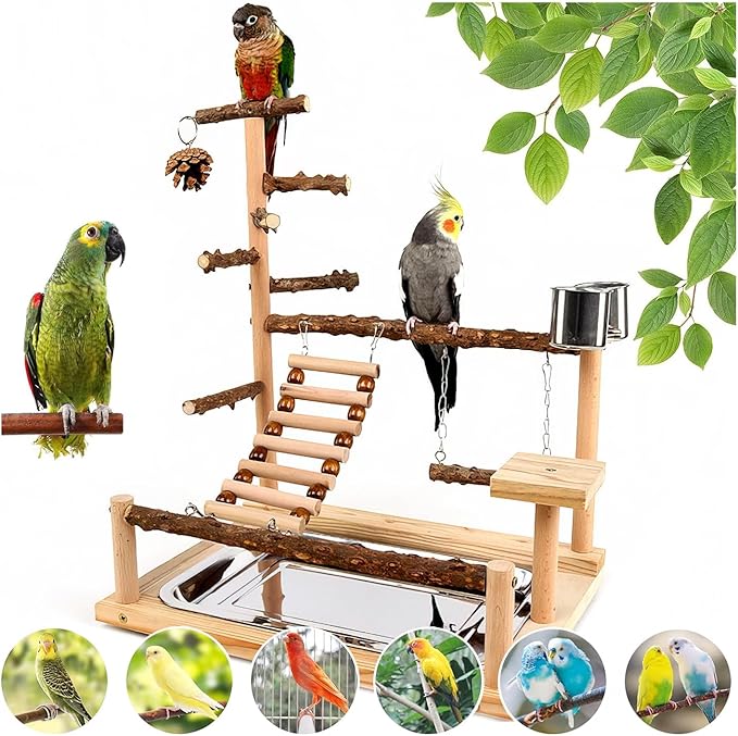 Bird Playground, Parrot Perch Stand, Natural Wood Bird Play Stands for Cockatiel Wood Perch Gym Playpen Ladder with Removable Tray and 2 Stainless Steel Cups, Bird Cage Accessories, Parrot Swing-PawvioPets