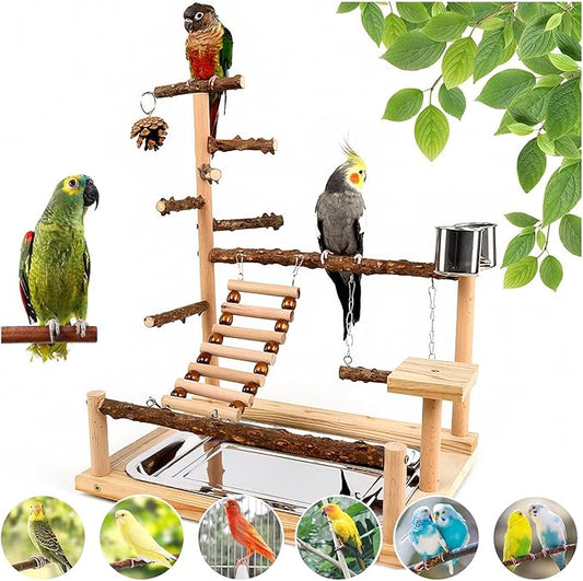 Bird Playground, Parrot Perch Stand, Natural Wood Bird Play Stands for Cockatiel Wood Perch Gym Playpen Ladder with Removable Tray and 2 Stainless Steel Cups, Bird Cage Accessories, Parrot Swing-PawvioPets