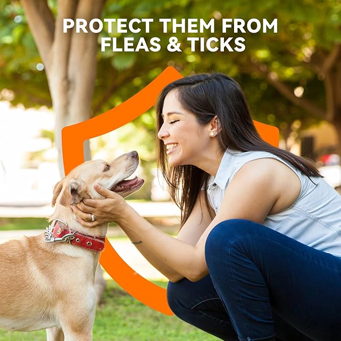 Flea and Tick Prevention for Dogs, Addcool Dog Flea and Tick Treatment, Flea & Tick Control Topical Drops, 3 Doses, Vet-Recommended(23-44 lbs)-PawvioPets