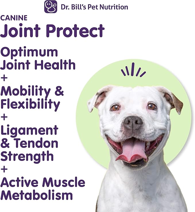 Dr. Bill’s Canine Joint Protect | Joint Support for Dogs | Pet Supplement for Ligament & Tendon Strength | Collagen Type II, Hyaluronic Acid, Eggshell Membrane and L-Glutamine-PawvioPets