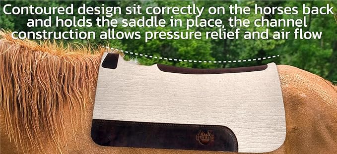 Black HOOF BlackHoof Steam Pressed Merino Wool Felt Contoured Pad 1 Inch Thick(31in Length and 32in Width), Saddle pad for Horses, White-PawvioPets