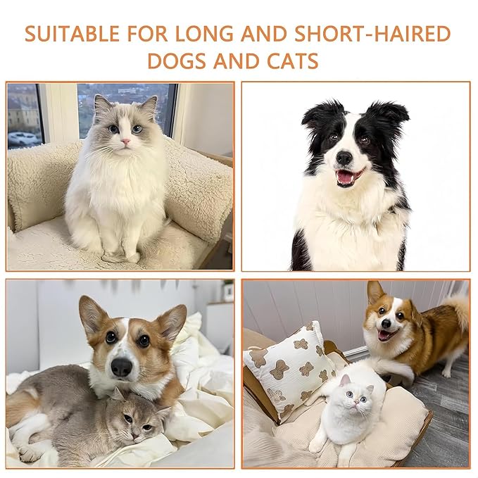 4 in 1 Cat Steam Brush,cat brushes for indoor cats,Rechargeable Steam Cat with Steam,Anti-Static Steam Pet Brushes for Dogs Cats(Khaki)-PawvioPets