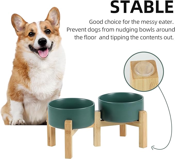 Ceramic Raised Double Bowls Set with Stand, 2 Heights Elevated, Food & Water Bowls for Small Breed Dogs, Weighted Dog Dishes, Pet Bowl(6.1'',28.7oz, Green)-PawvioPets
