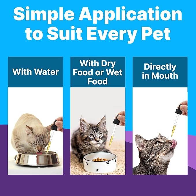 Freedom Joint Drops for Cats with Hyaluronic Acid, MSM, Glucosamine, & Chondroitin, All Natural Cat Joint Supplement for Mobility, Powerful Glucosamine for Cats, Cat Pain Relief, 30ml Dropper-PawvioPets