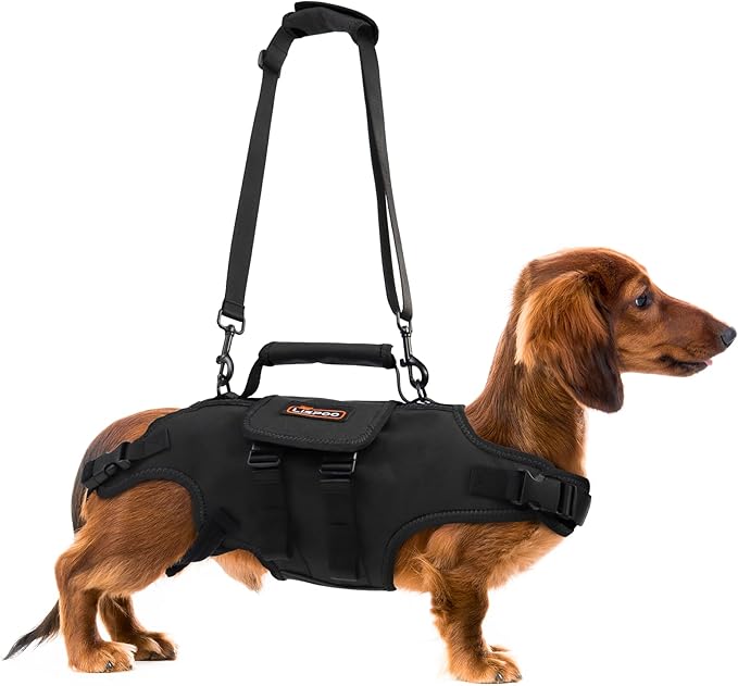 Dog Lift Harness, Full Body Support with Adjustable Control Handle for Medium Senior Dogs, Post-Surgery Recovery & Joint Problems (Oxford Cloth, M)-PawvioPets