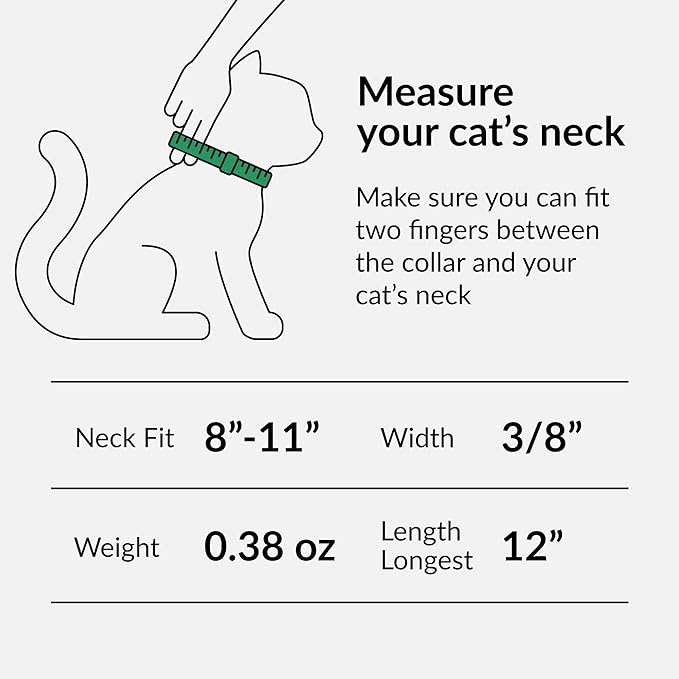 CollarDirect Leather Cat Collar, Cat Safety Collar with Elastic Strap, Kitten Collar with Bell Black Blue Red Orange Lime Green (8-11 Inch, Mint Green)-PawvioPets
