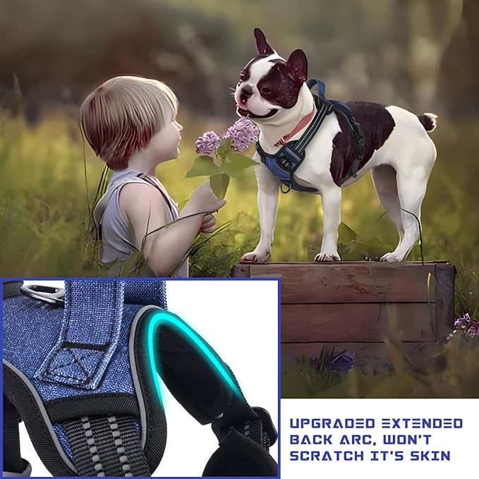 BUMBIN Dog Harness for Large Dogs, No Pull Adjustable No Choke Pet Vest with Dog Leash Fit Smart Reflective Pet Walking Harness for Training Easy Control Soft Handle Denim Blue M-PawvioPets