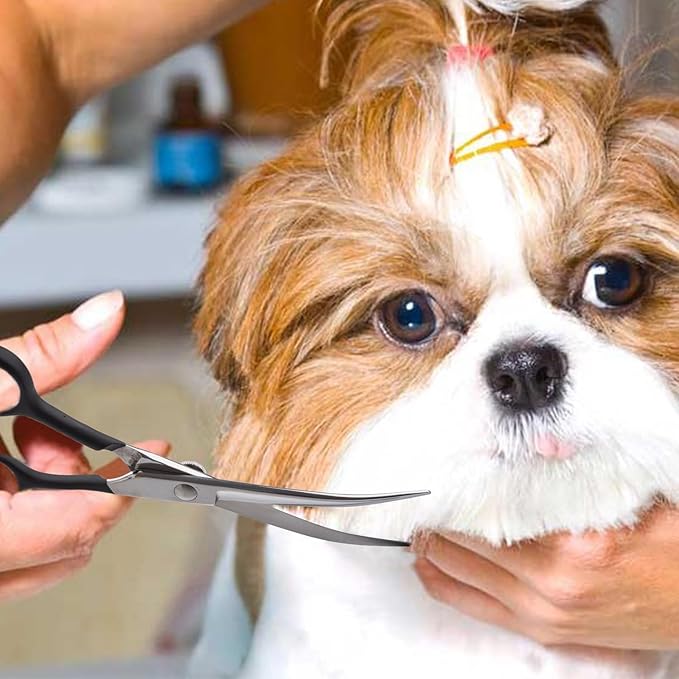 Dragon Creek 6" Upward Curved Dog Grooming Scissors Shears for Grooming Face and Paws Safety Shears Trimming Cutting Scissors for Dog Cat Pet Black-PawvioPets