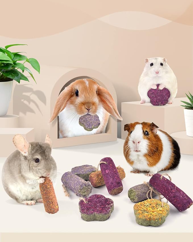 Bissap 12PCS Rabbit Chew Sticks, Hanging Chew Sticks & Cakes Timothy Hay Carrot Strawberry Treat for Bunny Chinchilla Guinea Pig Hamster and Other Small Pets Molar Snack Toy-PawvioPets