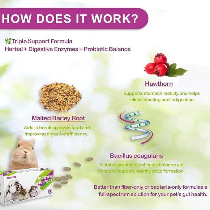 Digestive Support for Rabbits - High Fiber Probiotics, GI Stasis Prevention, Promote Gut Motility, Critical Care Herbivore Supplement, Rabbit & Guinea Pig Treats/Food, 36 Capsules-PawvioPets