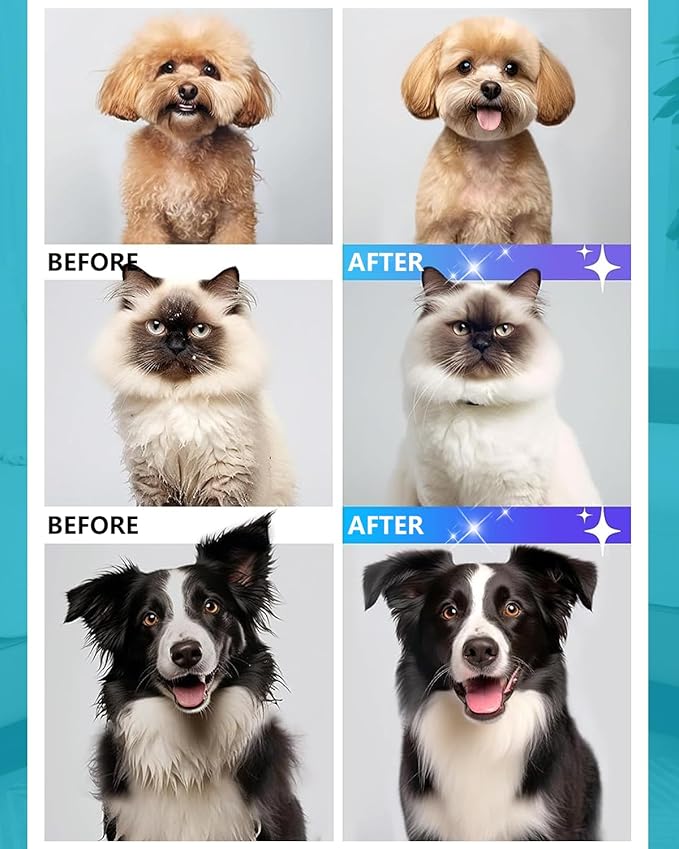 Dog Grooming Vacuum, Bawetech B2 5-in-1 Pet Grooming Kit with Dog Clipper, 11000Pa Suction | 2L Capacity | 113℉ Dryer | Low Noise Pet Hair Removal Tool Pet Supplies, 2025 Upgraded-PawvioPets