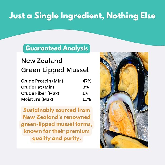 ALFIE'S TREATOS Green Lipped Mussels for Dogs & Cats (2.65 oz), Air-Dried Dog Treats, Natural Supplement & Omega-3 Food Topper, Single Ingredient, Freeze-Dried Alternative-PawvioPets