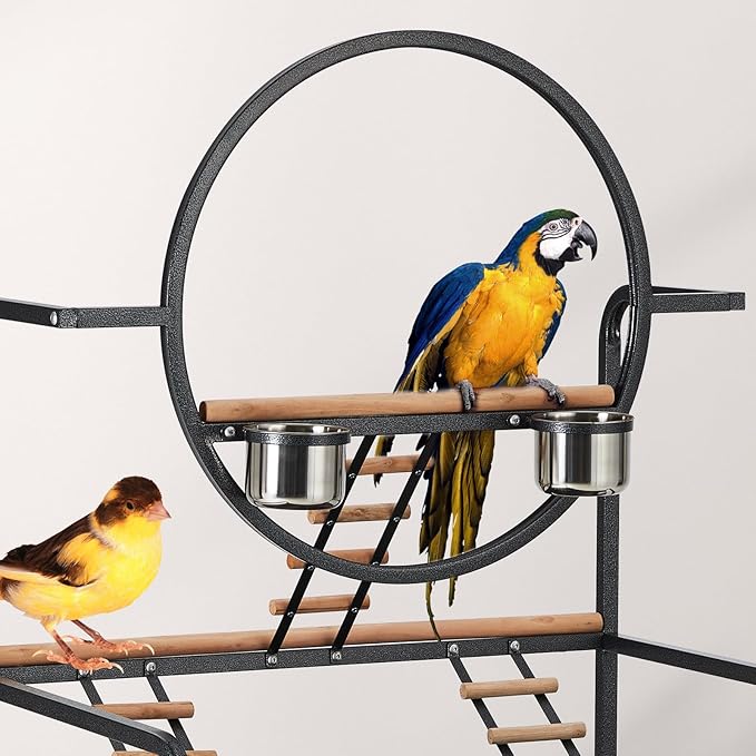 Bird Playstand, 66'' H Inch Birdcage Stand Activity Play Center with Perches and Ladders, Removable Tray, Indoor Outdoor Playground for Parakeet,Cockatiels Conures Parrots, Lockable Caster,Black-PawvioPets