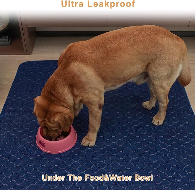 2Pack Washable Pee Pads for Dogs 18”x24”, Quick Dry Puppy Pads, Waterproof, Non Slip, Premium Reusable Dog Training Pads-PawvioPets