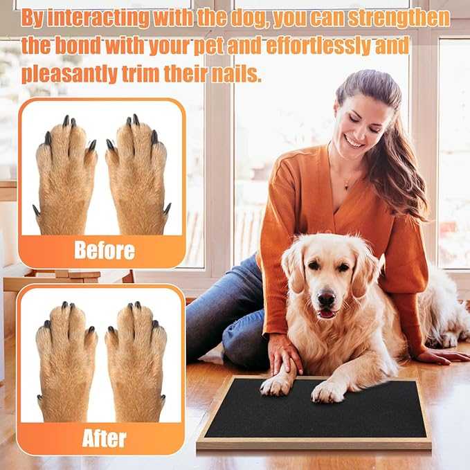 6 PCS Pet Nail Self Adhesive Replacement Emery Paper Fits Most Dog Scratch Pad Cat Litter Box DIY on The Places Where Pets Like to Scratch (10in*17.7in, Black)-PawvioPets