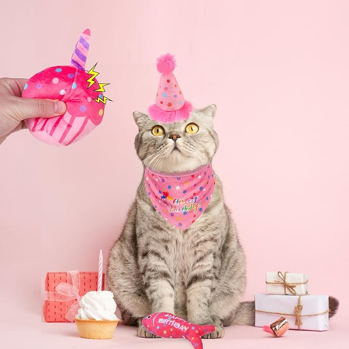 BINGPET Catnip Toys for Indoor Cats, Cat Birthday Hat and Interactive Plush Kitten Chew Toys - Cute Cake, Fish, Balloon Toys with Crinkle Paper and Catnip Inside Pink-PawvioPets