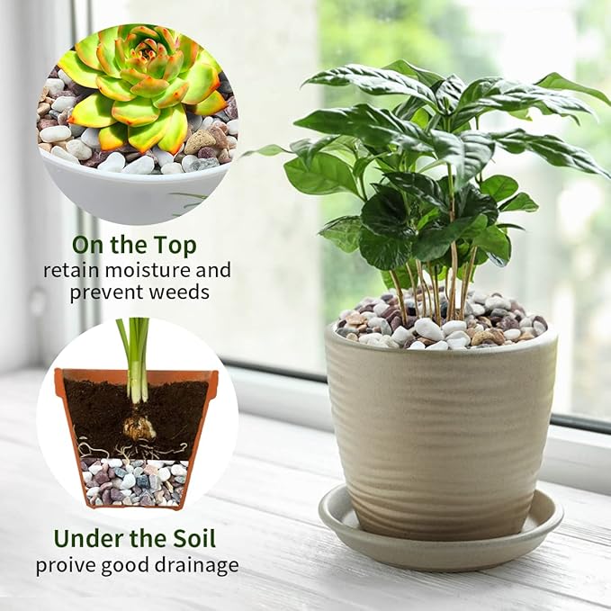 5 lbs Natural Mixed Color Gravel Pebbles, 3/8 Inch Decorative Succulent Rocks Pebbles for Plants, Stones for Vase, Landscaping and Outdoor Garden Decorative River Rock-PawvioPets