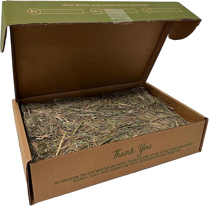 Blue Mountain Hay | Fresh Timothy Hay (25 Pounds) | Great for All Ages | High-Altitude Hay Pet Food for Rabbits, Guinea Pigs, Chinchillas, Hamsters, and Other Small Pets-PawvioPets