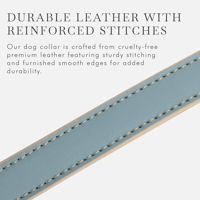 Cupertino Dog Collars, Harnesses & Leashes Made from Vegan Leather with Dog Tracker Device Holder Adjustable Dog Collar (Extra Small, Blue)-PawvioPets