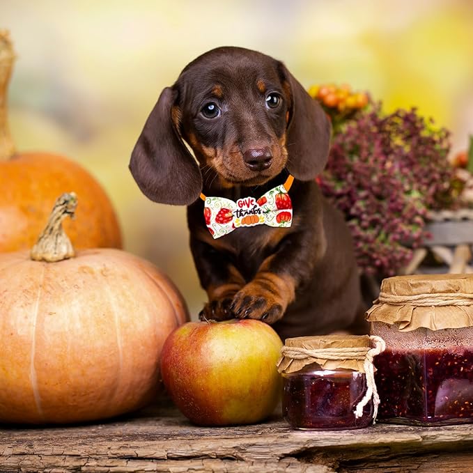 22pcs Fall Dog Bow Tie, Adjustable Bowtie Collar Attachment for Small Medium Pets, Bulk Neckties Set for Thanksgiving Day,Autumn Pet Supplies Charms Hair Costume Accessories(Maple Leaf, Pumpkin)-PawvioPets