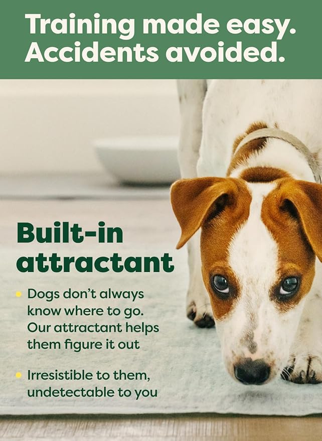 Earth Rated Max Absorbency Puppy Pee Pads for Dogs Absorbs 2X Faster & 2X More, Leak-Proof Odor-Free Potty Training Wee Wee Pad, Unscented, Large, 22” x 23”, 40 Count-PawvioPets