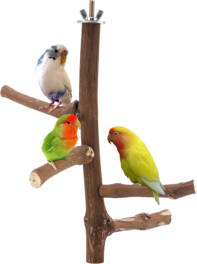Bird Perch Stand Toy, Natural Grapevine Wood Parrot Perch Bird Cage Branch Accessories for Parakeets Cockatiels Conures Macaws Finches Love Birds(9.8" Length)-PawvioPets