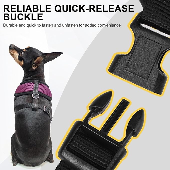BINGPET Small Dog Harness - Breathable Mesh Puppy Cat Harnesses - No Pull Adjustable Dog Harness Dog Vest Harness for Small and Medium Dogs-PawvioPets