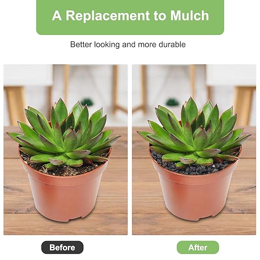 5 lbs Pebbles for Indoor Plants, Succulent, Cactus, 1/5 Inch Small Lava Rock for Plants Drainage, Natural Horticultural Volcanic Rock, Top-Dressing-PawvioPets