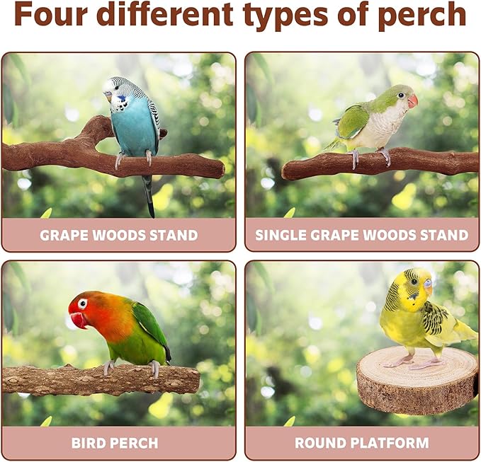 7-Piece Bird Perch Set: 3 Grapevine Paw Grinding Forks, 2 Wood Stands & 2 Hammocks - Cage Accessories for Parakeets, Cockatiels, Conures, Budgies-PawvioPets