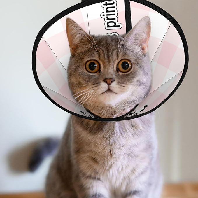 Custom Cat Cone Collar Soft Post-Surgery Comfort Pet Recovery Collar for Spay Safety Elizabethan Collar-PawvioPets