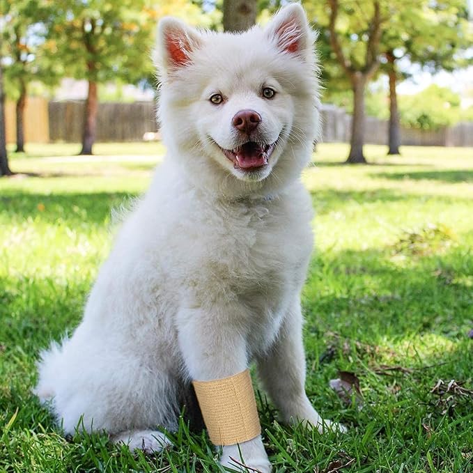 12-Rolls Self Adherent Bandage Wrap, Vet Tape - 3 in x 5 Yds Breathable, Elastic Cohesive Wrap Tape for Wrist, Swelling, Sports, Tattoo (Tan)-PawvioPets