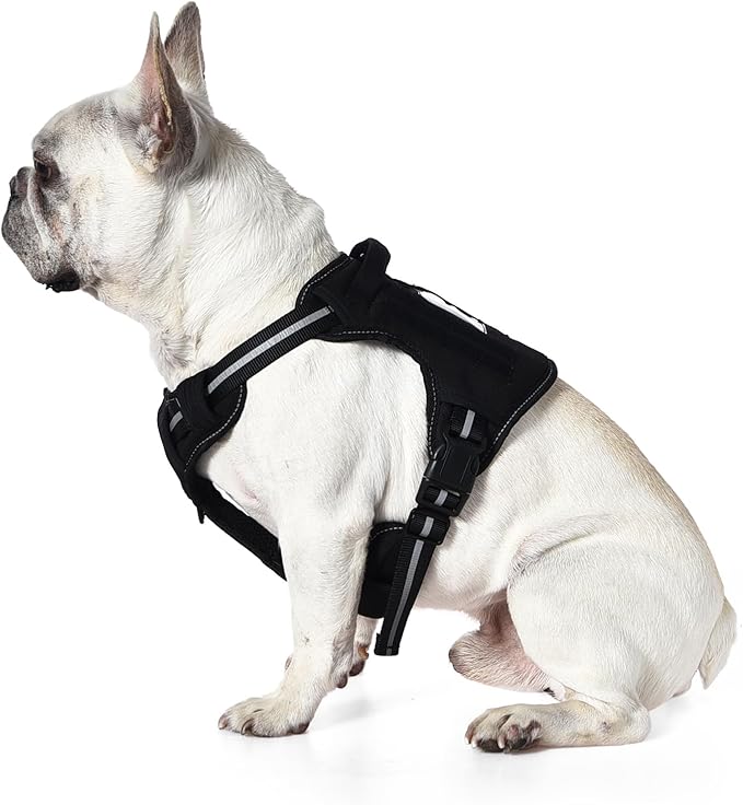 Amazon Basics No Pull Dog Harness, Adjustable Front Clip, Tactical Vest, Medium, Black-PawvioPets