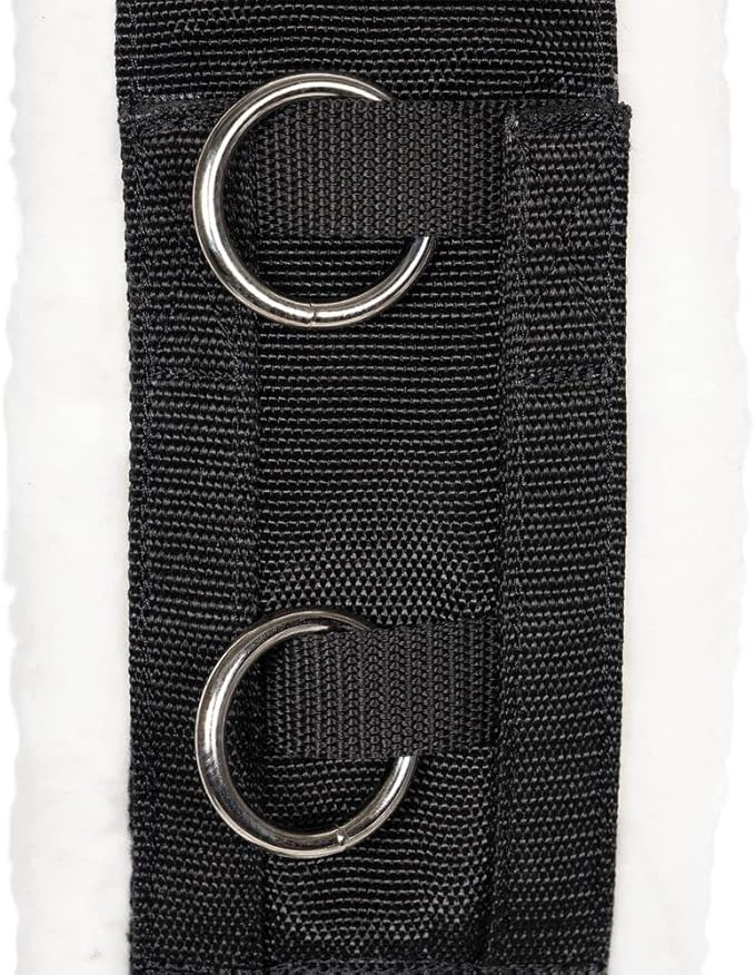 Dura-Tech Fleece Lined Training Surcingle for Horses | Essential for Lunging Work | Comfortable Fleece Lining | Durable Poly Material | Versatile D-Ring Placement | Suitable for All Training Levels-PawvioPets
