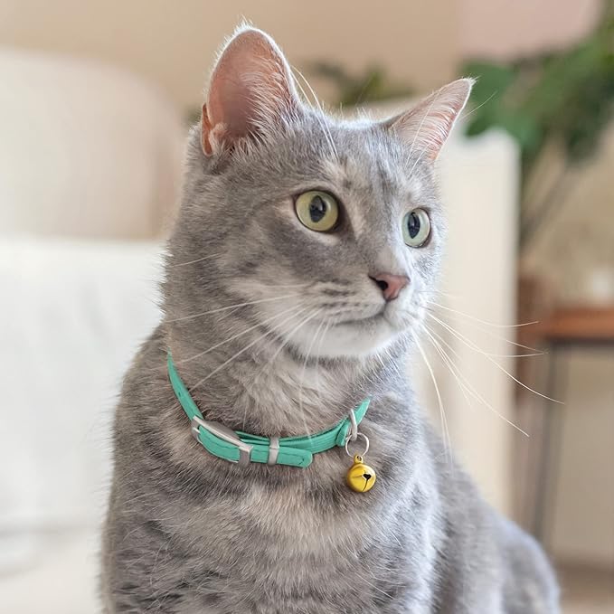 CollarDirect Leather Cat Collar with Bell - Kitten Collar, Small and Big Cat Collar for Boy Cats, Girl Cats with Safety Elastic Strap (Neck Fit 8"-11", Mint Green)-PawvioPets