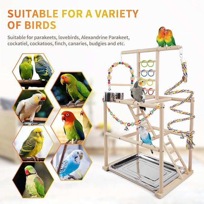 Bird Playground, Parrots Playstand for Small to Medium Birds, Perch Stand with 3 Ladders Playgym with Rope Perch, Swings Feeder Cups Bird Cage Accessories for Conure Cockatiel Lovebirds-PawvioPets