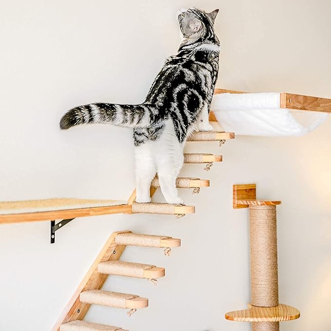 FUKUMARU Cat Hammock Wall Mounted, Kitty Beds and Perches, Wooden Cats Furniture, Stable Wall Shelves for Sleeping, Playing, Climbing, and Lounging-PawvioPets