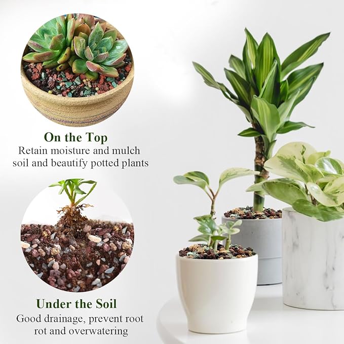 2 lbs Mix Horticultural Succulent Soil,1/4 Inch Pumice Gravel. Decorative Pebbles Lava Rock for Cactus, Bonsai, Orchid, Indoor Plants of Drainage, Ventilation and Root Growth-PawvioPets