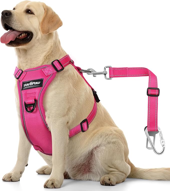 Dog Seat Belt Harness for Car, Dog Car Harness Adjustable Mesh Breathable & Dog Seatbelt Safety Tether with Elastic Bungee for Small Medium Large Pets(Rose, XL)-PawvioPets