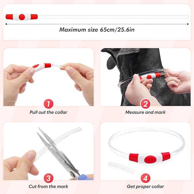 BSEEN Light Up Dog Collar - Rechargeable LED Dog Collar - 360° Glow in The Dark Pet Collar for Small Medium Large Dogs, TPU Cuttable Puppy Collar Safety Dog Lights for Night Walking (Red 70cm)-PawvioPets