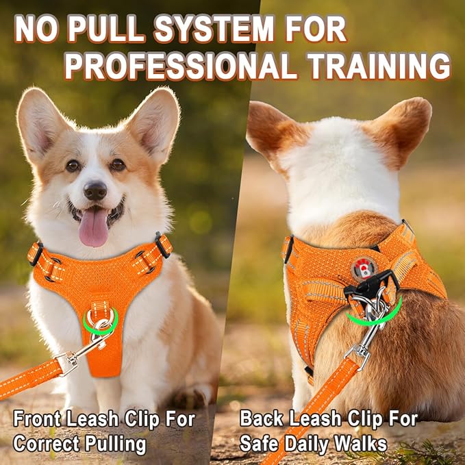 Dog Harness Step in Dog Vest Harness, Reflective Adjustable Puppy No Pull Harness Breathable Soft for Small and Medium Dogs Cats, Orange, S-PawvioPets